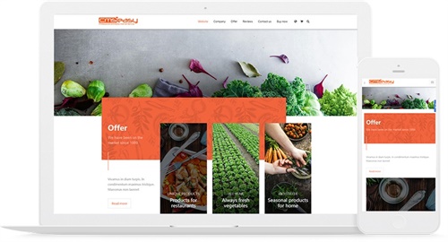 外貿(mào)-食品-蔬菜-商貿(mào)響應(yīng)式網(wǎng)站模板